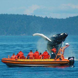 Canada-Victoria-ballenas-600x539-1 Canada-Victoria-ballenas-600x539-1